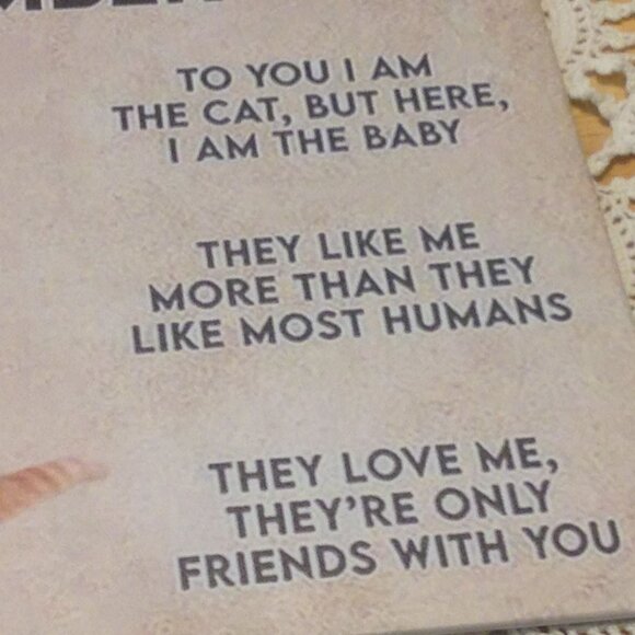 Humorous Cat truisms, metal wall decor - Picture 3 of 5